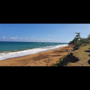 Meet your Posher, Brenda